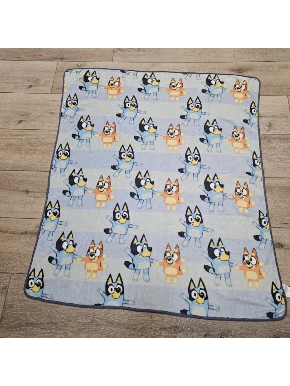 Bluey Bingo Plush Throw Blanket 40x46 Kids Soft Fleece Pre-Owned